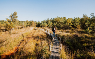 Alleen op vakantie? Bij ons krijg je 10% korting op je verblijf