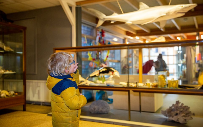 Miramar Zeemuseum vlakbij tiny house met hottub in Drenthe