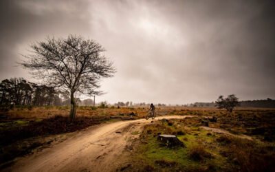 Dit is waarom je naar Drenthe op vakantie wil