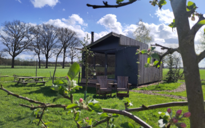 3 redenen om een tiny house te boeken