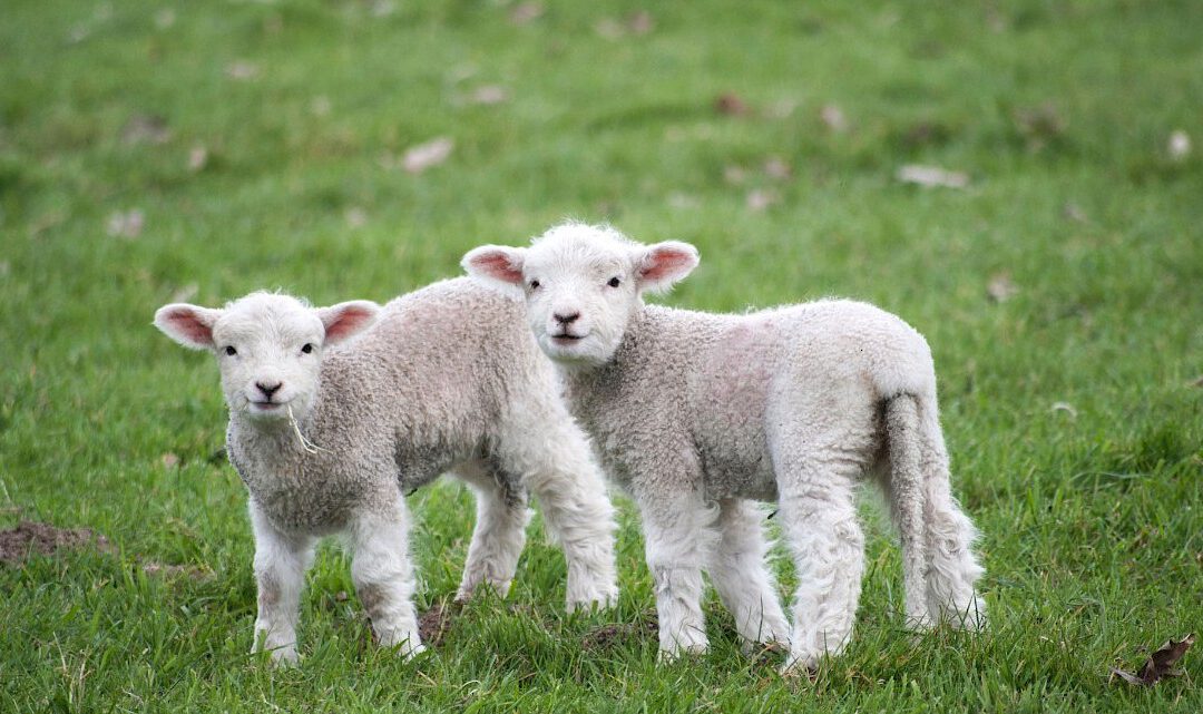 Nieuws uit Drenthe – totaal onverwacht!
