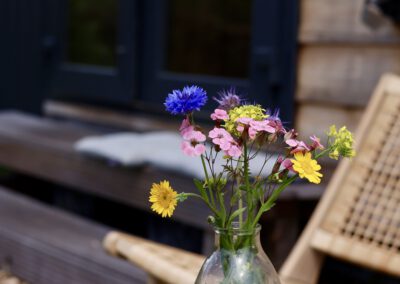 Buiten bij tiny house met hottub in Drenthe