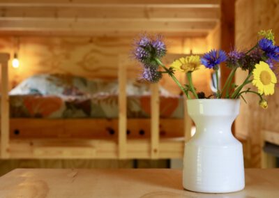 Interieur tiny house met hottub in Drenthe