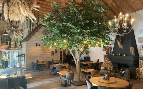 Wildrijck bij tiny houses met hottub in drenthe