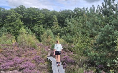 Een weekje onthaasten in tiny house Kleine Spar: de ervaring van Lia