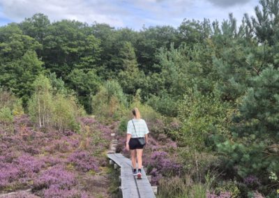 Wandeling over het sprokkelspoor in Drenthe