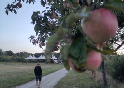 Wandelen in de fruithof in Frederiksoord
