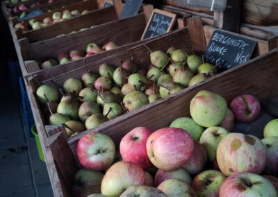 Appels kopen bij de Fruithof in Frederiksoord