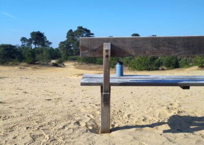 Wandelen in Drents Friese Wold