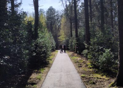 Wandelen in Drenthe
