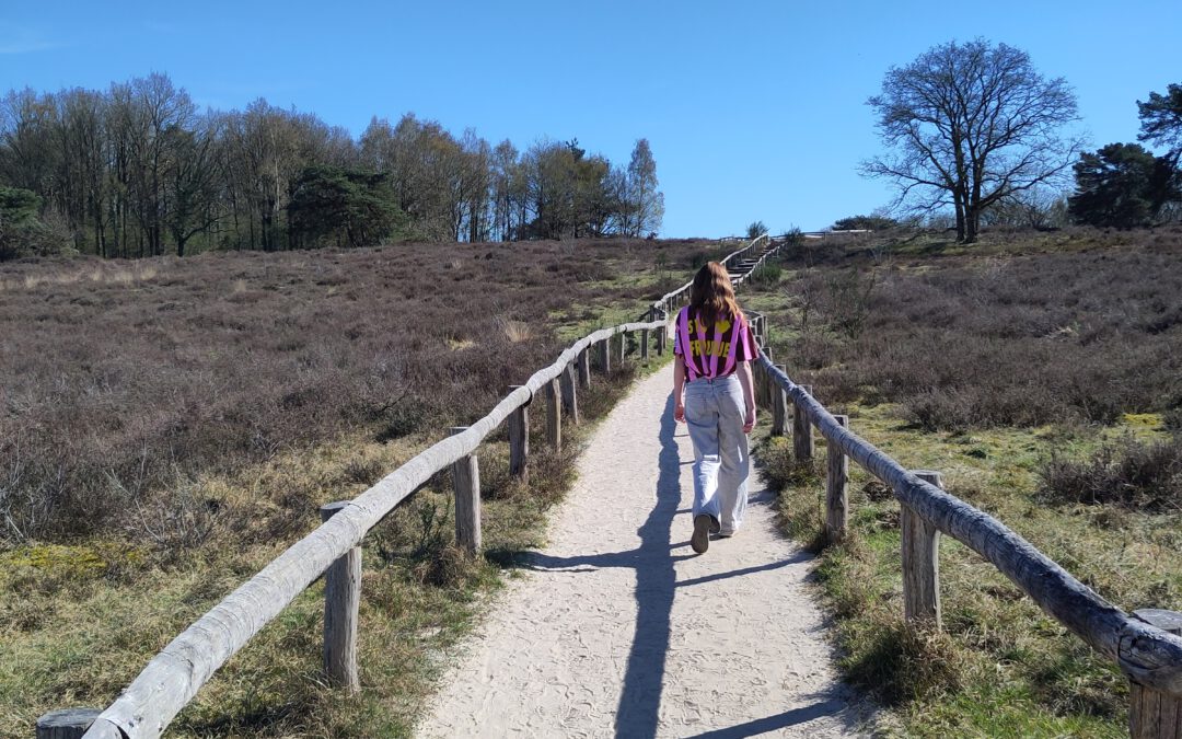 3x lange wandeling in Drenthe