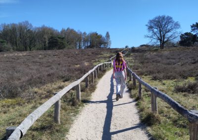 Wandelen over het Holtingerveld